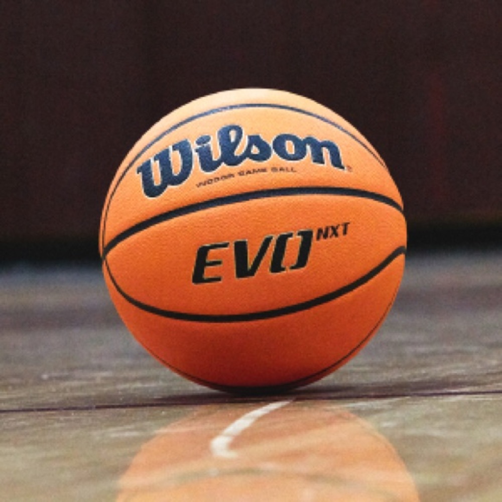 Wilson EVO NXT NCAA Basketball OFFICIAL Ball 29.5